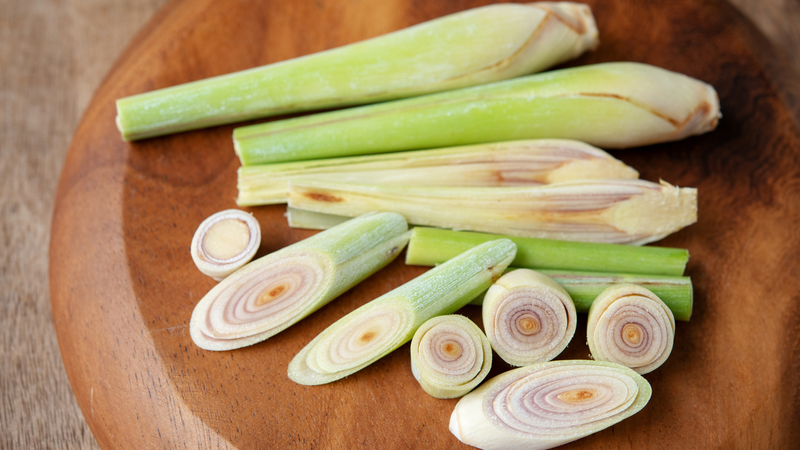 Growing Your Lemongrass: A Sustainable and Rewarding Kitchen Addition