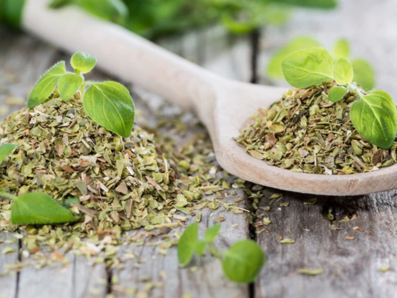 Growing Your Own Oregano: Fresh Herbs at Your Fingertips