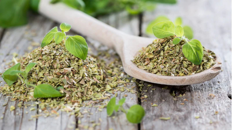 Growing Your Own Oregano: Fresh Herbs at Your Fingertips