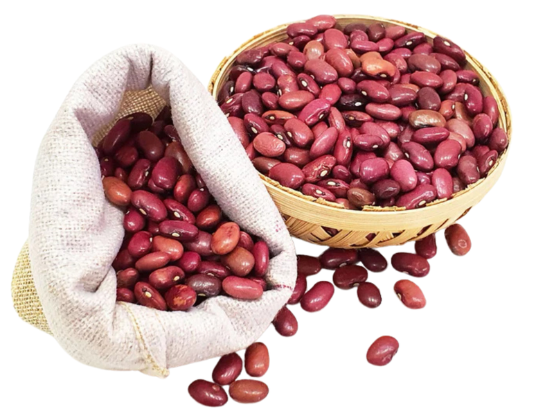 Himalayan Goodness on Your Plate: Elevate Meals with Nirvana Organic's India Rajma
