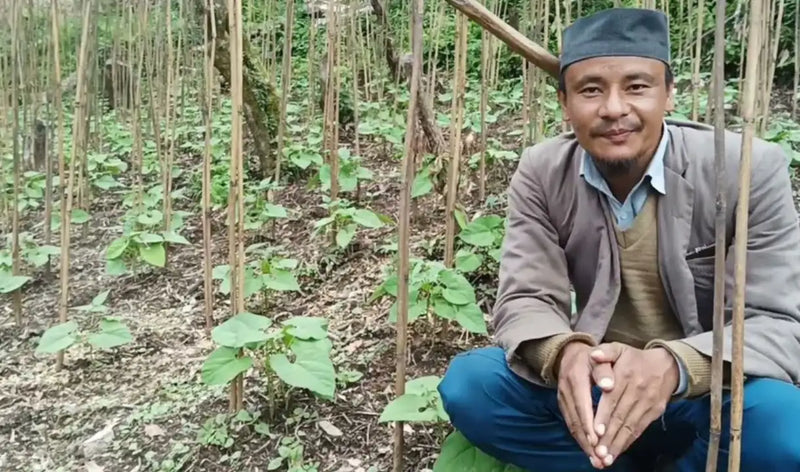 How Himalayan Rajma is Cultivated: A Glimpse into Traditional Farming