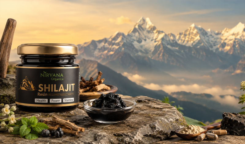 How to Choose & Test Pure Shilajit Resin: 6 Red Flags You Must Avoid