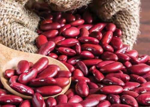 Himalayan Rajma: The Superfood Boost Your Diet Needs