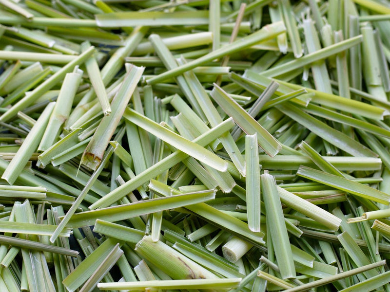 Lemongrass Tea Benefits and Side Effects What You Should Know