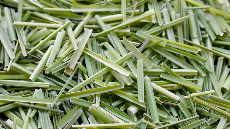 Lemongrass Tea Benefits and Side Effects: What You Should Know
