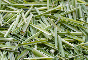 Lemongrass Tea Benefits and Side Effects: What You Should Know