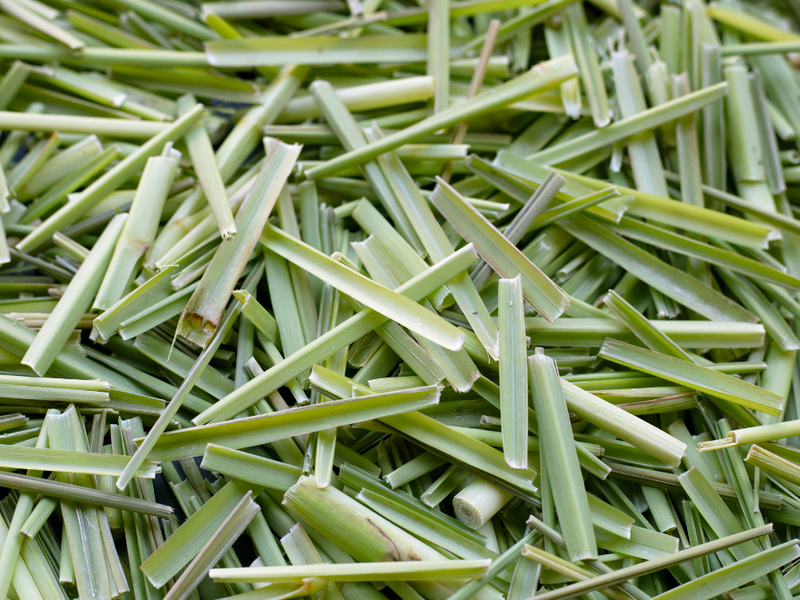 Lemongrass: A Culinary Adventure with Nirvana Organics