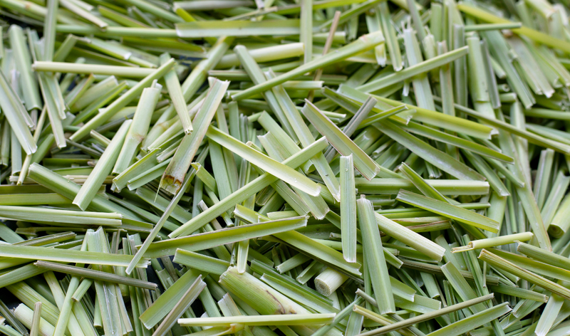Lemongrass: A Culinary Adventure with Nirvana Organics