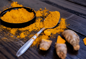 Healthy Benefits of Turmeric Powder: The Ultimate Guide to Curcumin, Absorption, and Daily Use