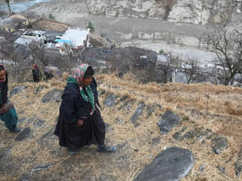 Nature's Warriors: Women Farmers on the Front Lines of Climate Change in the Himalayas