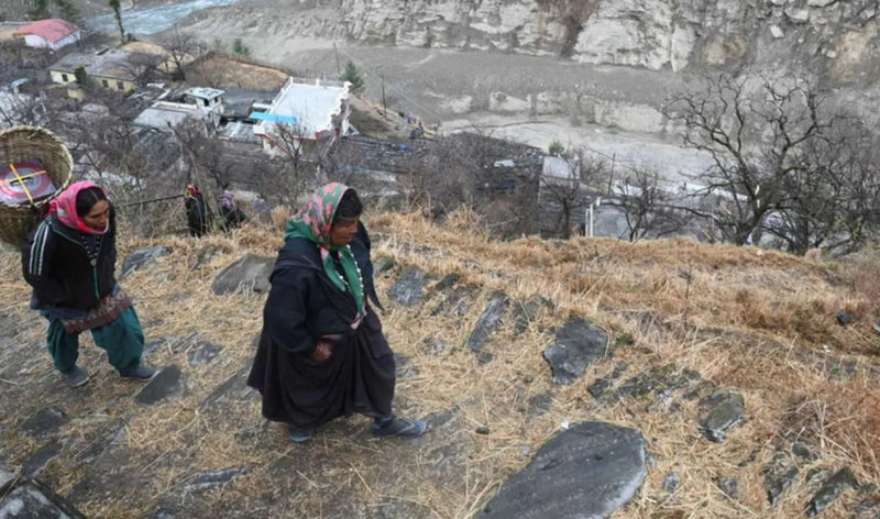 Nature's Warriors: Women Farmers on the Front Lines of Climate Change in the Himalayas