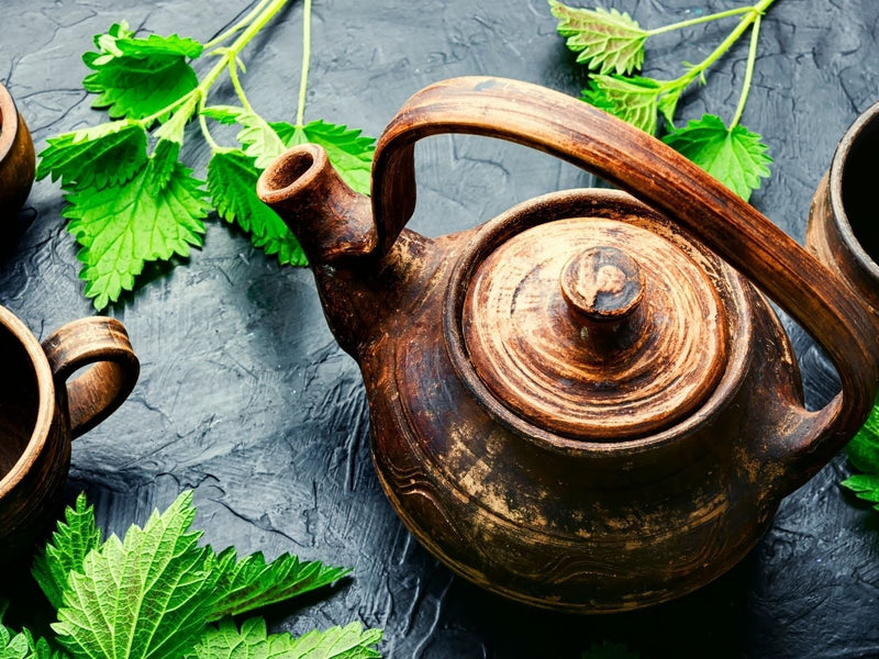 Nettle Tea Benefits for Women