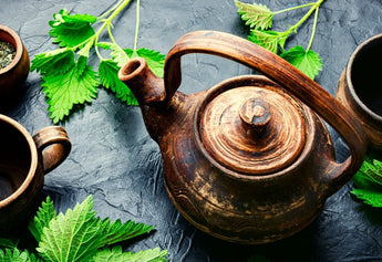 Nettle Tea Benefits for Women: The Ultimate Evidence-Based Guide to Benefits, Uses & Safety