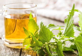 Nettle Tea Benefits for Hormones: The Ultimate Evidence-Based Guide to Hormonal Wellness