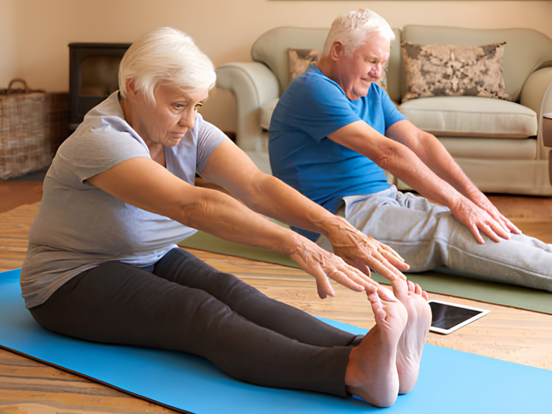  Nirvana Organic India: Nurturing Your Joints with Nature's Goodness