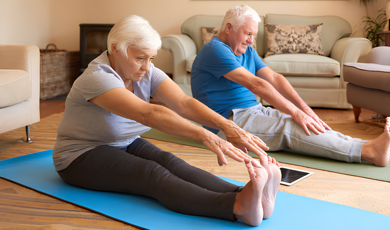 Nirvana Organic India: Nurturing Your Joints with Nature's Goodness