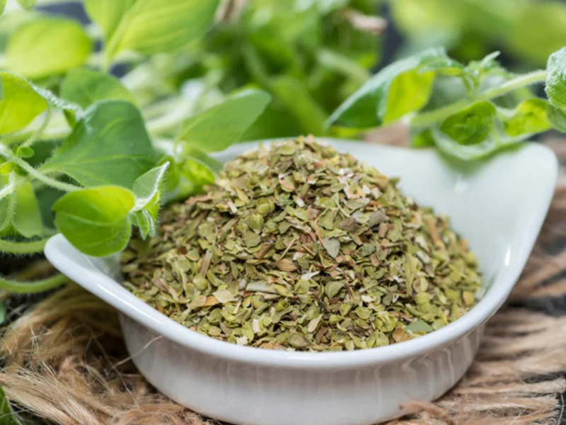 Oregano: The Fragrant Herb with Surprising Health Benefits