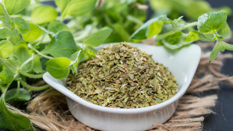 Oregano: The Fragrant Herb with Surprising Health Benefits