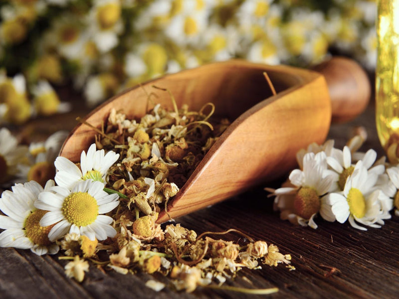 Himalayan Chamomile Tea from Himalayan Women’s Farms