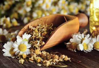 Himalayan Chamomile Tea from Himalayan Women’s Farms
