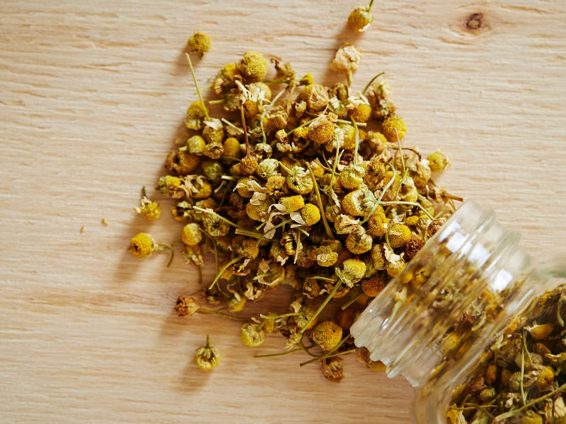 Chamomile Tea at Night: Side Effects, Safety & Risks