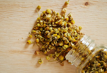 Chamomile Tea at Night: Side Effects, Safety & Risks
