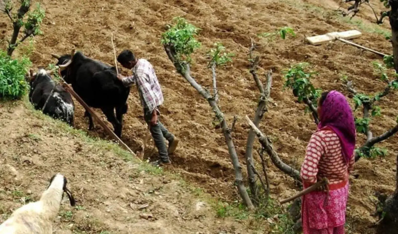 Organic Farming: A Guide to Sustainable Practices