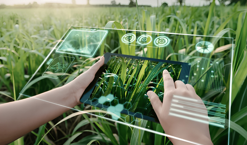 Revolutionizing Organic Agriculture: AI Farming