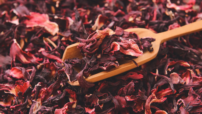 7 Things to Know About Rhododendron Tea and Detoxification