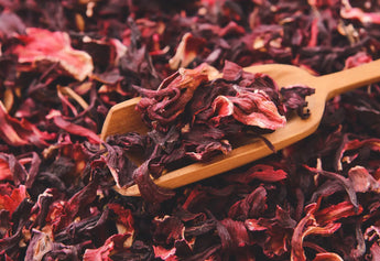 7 Things to Know About Rhododendron Tea and Detoxification