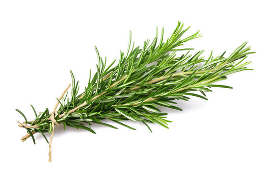 Rosemary: The Mediterranean Herb That Adds Flavor and Zest