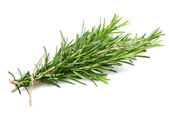 Rosemary: The Mediterranean Herb That Adds Flavor and Zest