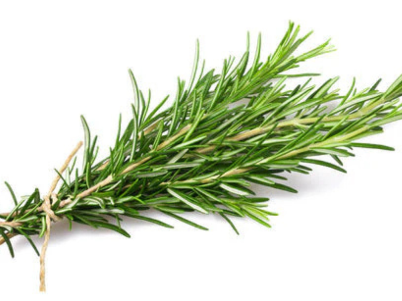 Rosemary: The Mediterranean Herb That Adds Flavor and Zest