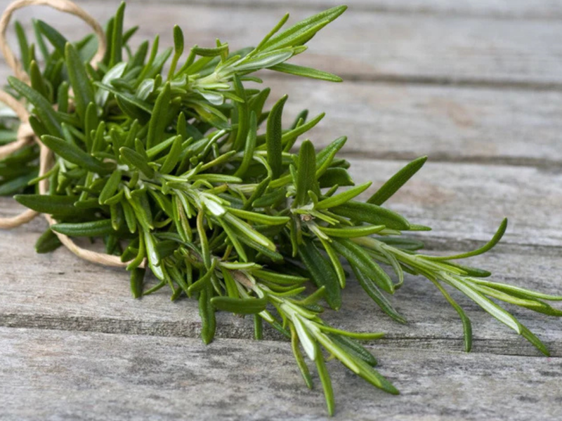Rosemary: The "It" Herb of the Moment