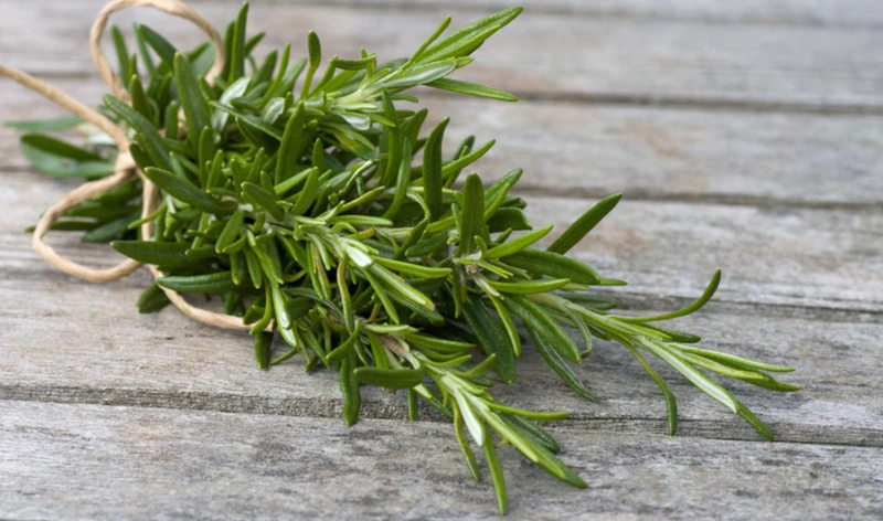 Rosemary: The "It" Herb of the Moment
