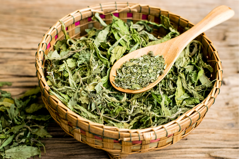 Beyond Sweetness: Exploring the Unexpected Uses of Stevia