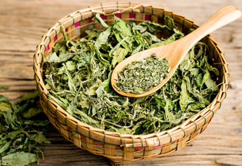 Beyond Sweetness: Exploring the Unexpected Uses of Stevia