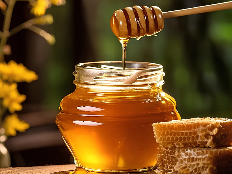 The Benefits of Choosing Forest Honey Over Regular Honey