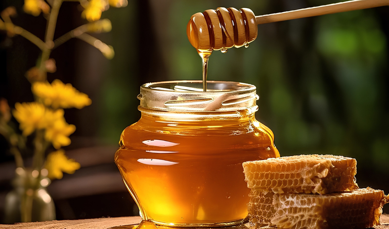 The Benefits of Choosing Forest Honey Over Regular Honey
