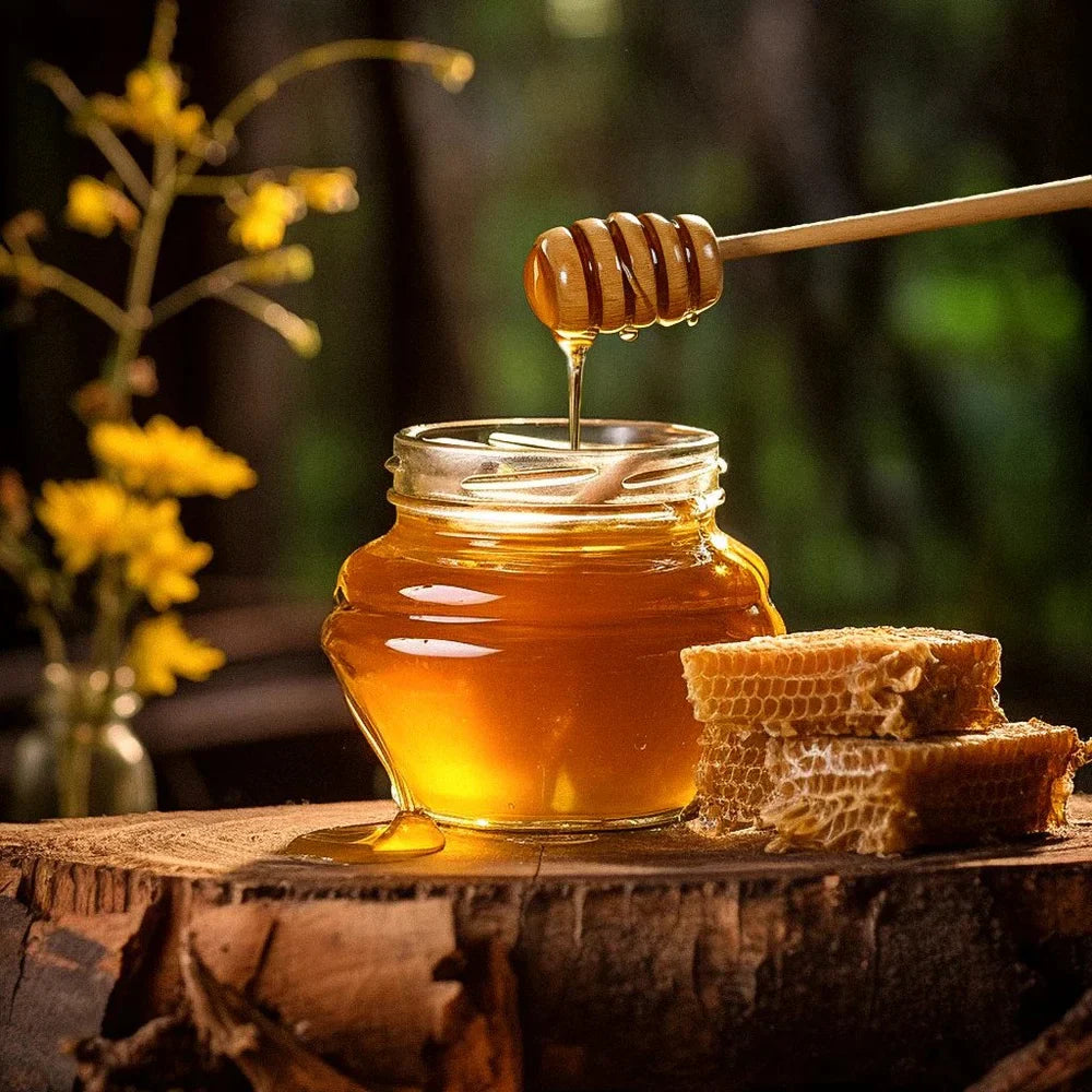 The Benefits of Choosing Forest Honey Over Regular Honey
