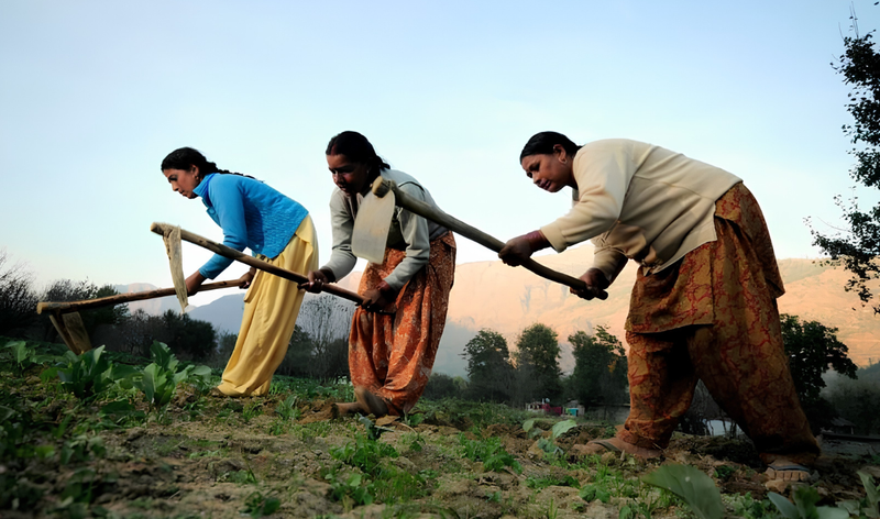 The Power of Collaboration: How Nirvana Organics Partners with Women Farmers for Success