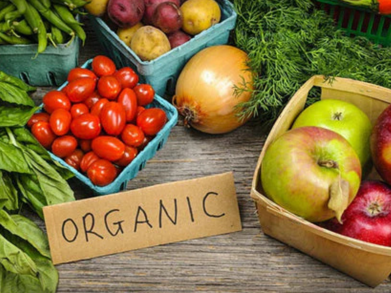 The Rise of Organic and Sustainable Farming Post-COVID-19: A New Era of Food Production
