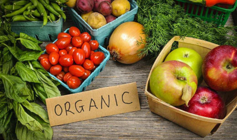 The Rise of Organic and Sustainable Farming Post-COVID-19: A New Era of Food Production