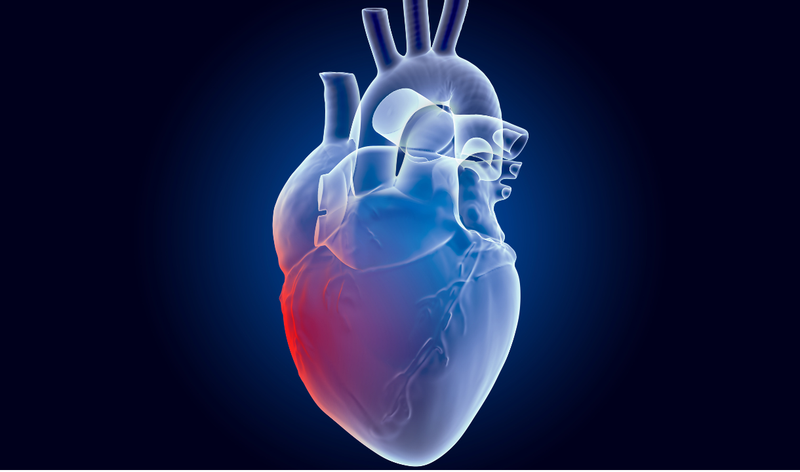 Transform Your Heart Health with Nirvana Organic's Superfoods
