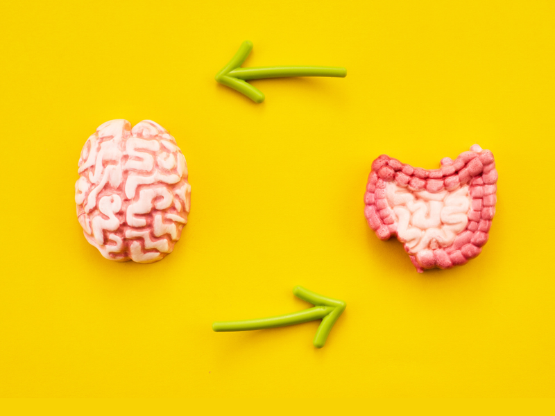 Understanding the Gut-Brain Connection: Stress and Digestion