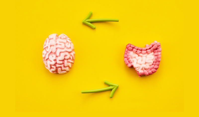 Understanding the Gut-Brain Connection: Stress and Digestion