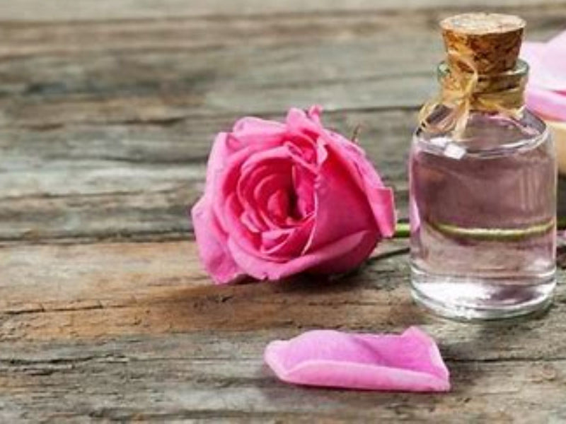 Why Nirvana Organic Rose Water is a Must-Have