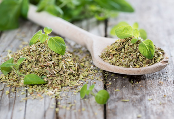 Growing Your Own Oregano: Fresh Herbs at Your Fingertips