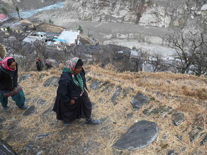 Nature's Warriors: Women Farmers on the Front Lines of Climate Change in the Himalayas