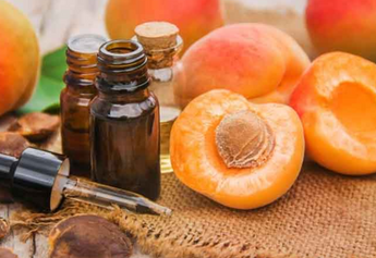 Beyond Beauty: Exploring the Diverse Uses of Nirvana Organic Apricot Oil